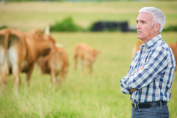 Report de l’âge légal de la retraite : un impact sur les baux ruraux ?