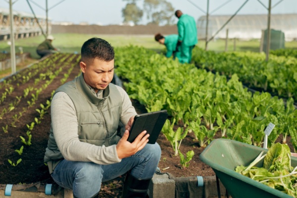 Secteur agricole : relèvement du plafond TO-DE !