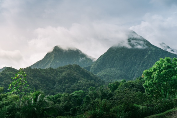 Indice des prix à la consommation en Martinique – Année 2024