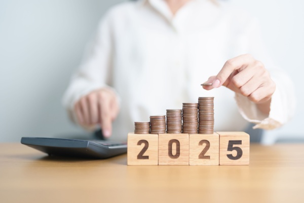 Barème de l’impôt sur le revenu 2025 appliqué aux revenus 2024