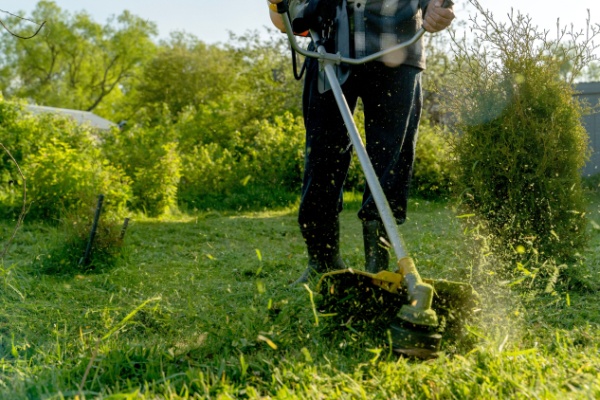Indice de la production des services aux ménages – Année 2024