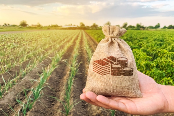 Jeunes agriculteurs : du nouveau du côté des exonérations sociales !