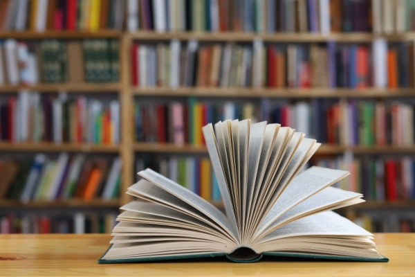 Indice de la production dans l’édition – Année 2025