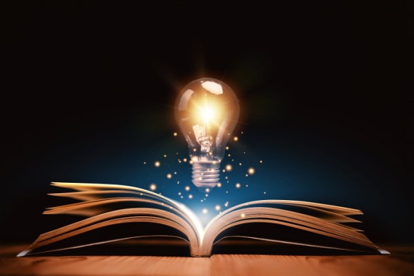 Redevances des procédures INPI – Année 2025