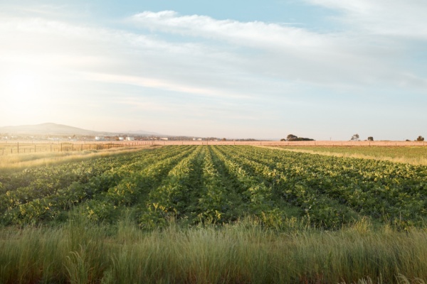 Tarifs des Notaires – Actes relatifs principalement aux baux et à la gestion des biens immobiliers et fonciers – 2025