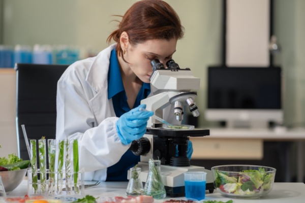 Indice du climat des affaires dans les activités spécialisées, scientifiques et techniques – 2026