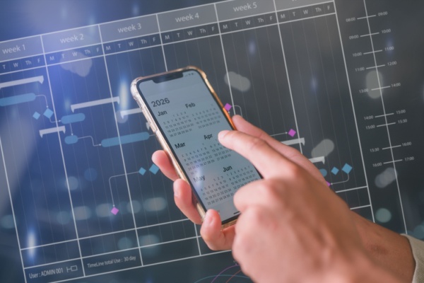 DSN de substitution : des précisions