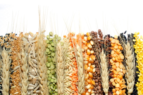 Indices des prix des produits agricoles – Année 2025