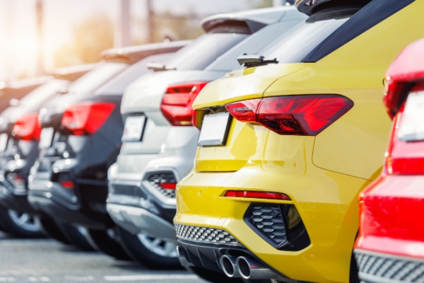 Immatriculation de voitures particulières – Année 2026