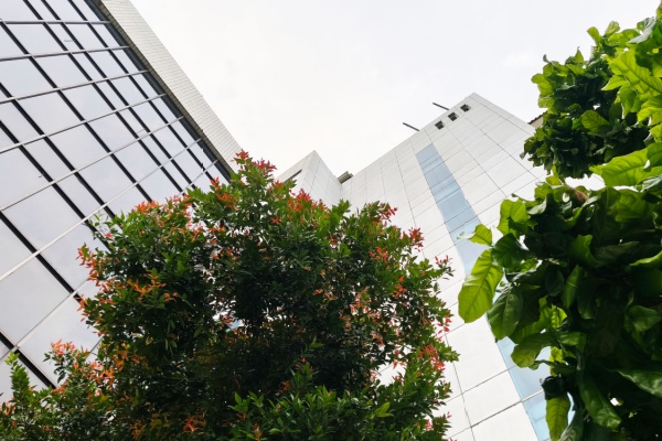 Indice de la production dans les activités immobilières – 2026