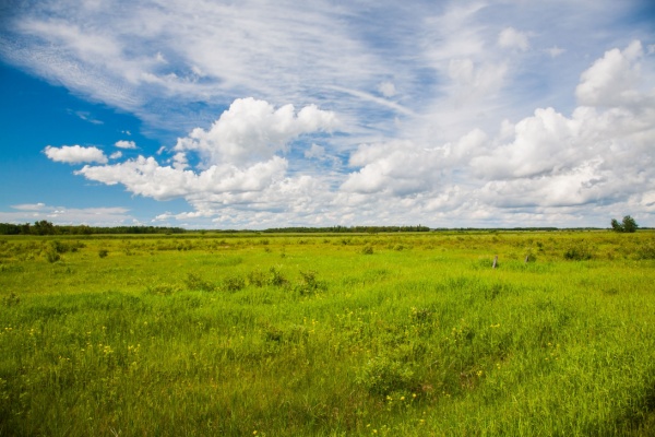 Valeur vénale moyenne des terres labourables et des prairies naturelles en 2024 pour les terres agricoles d'au moins 70 ares, libres à la vente