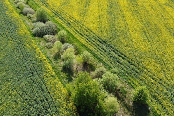 Valeur vénale moyenne des terres labourables et des prairies naturelles en 2024 pour les terres agricoles louées