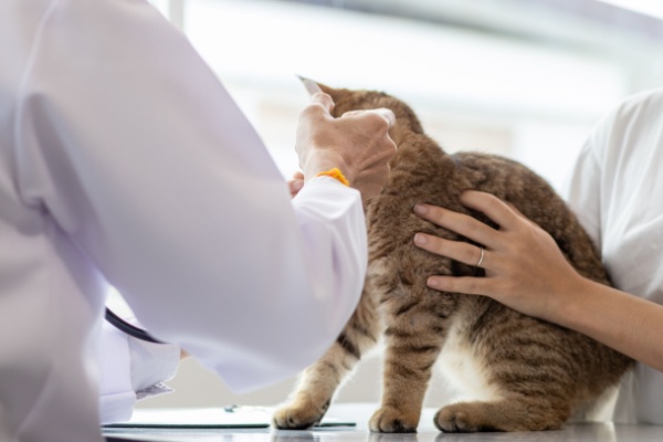 Tableau des cotisations sociales dues par les vétérinaires – Année 2026