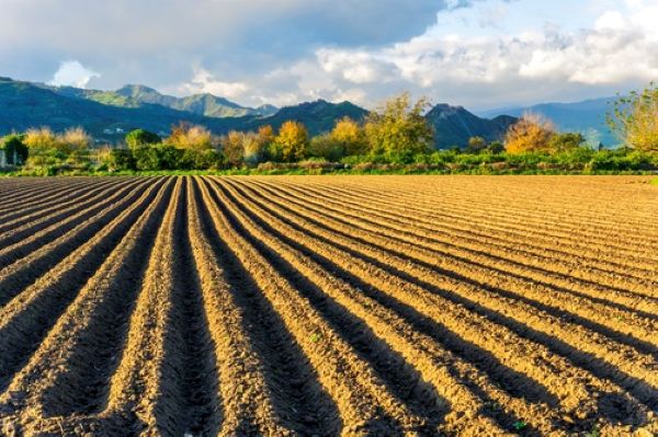 Valeur vénale moyenne des terres labourables et des prairies naturelles en 2025 pour les terres agricoles d'au moins 70 ares, libres à la vente